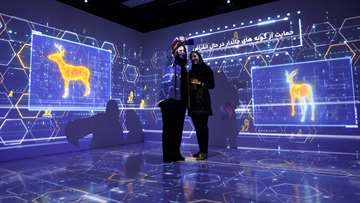 حمایت از حیوانات
