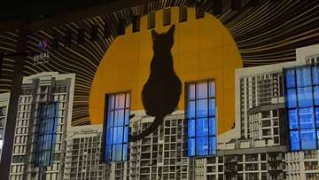 رویداد هفته دیزاین تهران